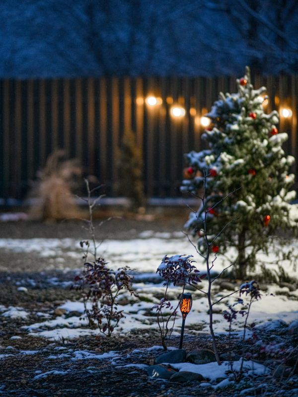 Волшебное место - кемпинг с комфортом