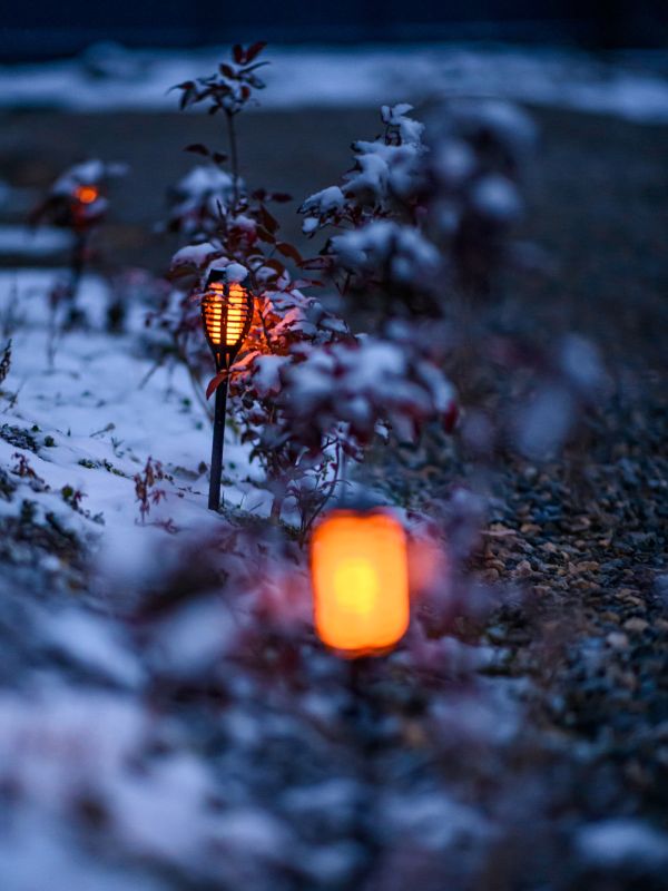 Волшебное место - кемпинг с комфортом