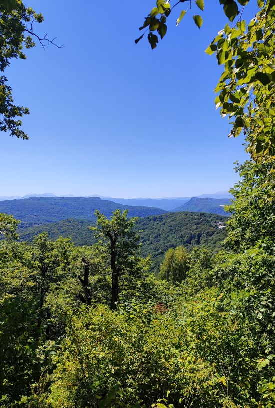 Волшебное место - кемпинг с комфортом