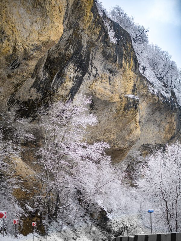 Волшебное место - кемпинг с комфортом